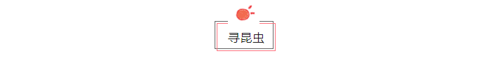 from clipboard